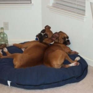 My bed