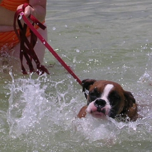 Keegan's 1st swim in the Gulf