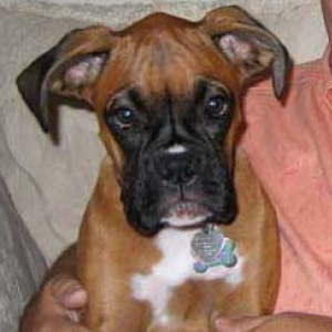 Gretchen at four and half months