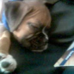 sleeping again