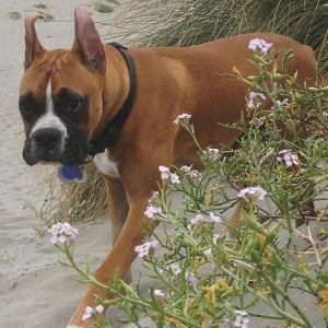 Tre @ 7 months old