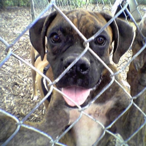 Sonny says Hi!