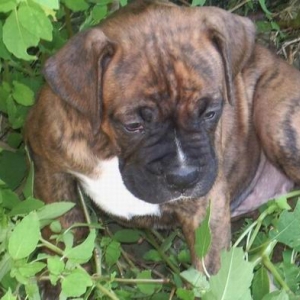 our new baby girl