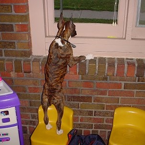 Nosey little boy