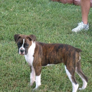Trinity growing up