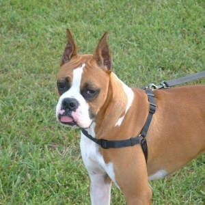 My handsome fella