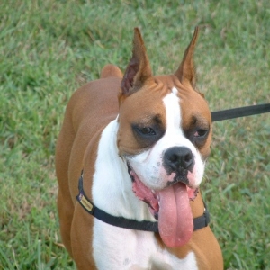 Look at my tongue momma!