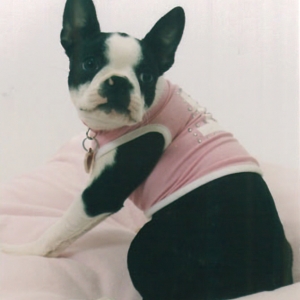 Abby in her #1 T-Shirt