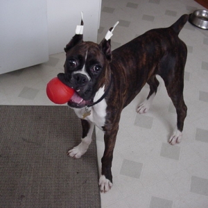 Pimp and his ball