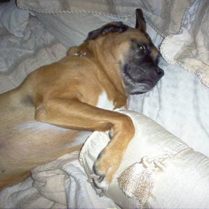 Naptime