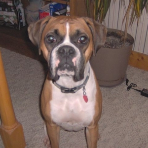 Princess posing!!!