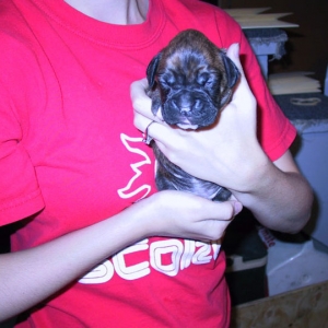 Look at that percious face!