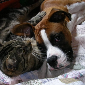 time for a nap