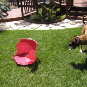 Bin_fun_2