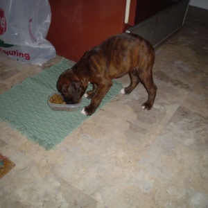eating