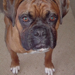 Latest picture of Leon