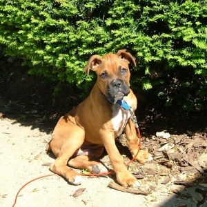 4 Months Sitting Pretty