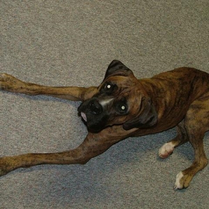 Hemi's 1st Day