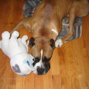 Simba and his Otis