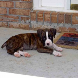 Baby Lukas