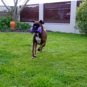 Playing with her new toy