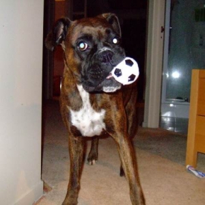 I love my squishy ball