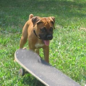 Madi skateboarding