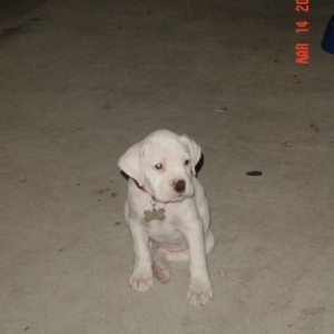 Baby Xena