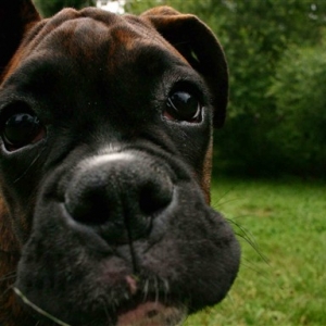 And you're looking at ...what????