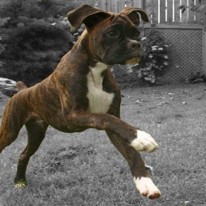 Up, Up and Awaaaay.......