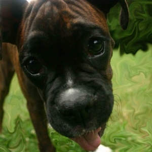 Let me help clean your lens..........