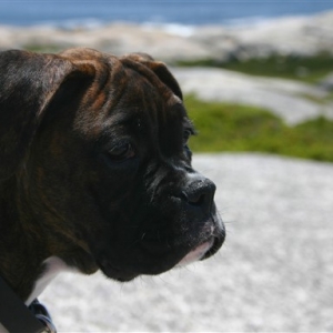 Let me think about it, Dad.....