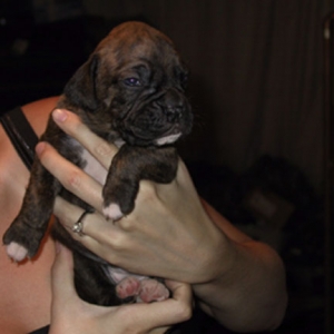 Roxy girl