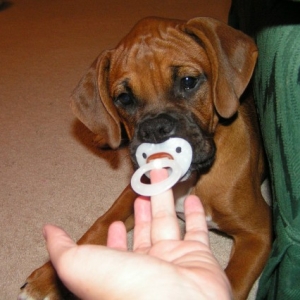 A True Baby