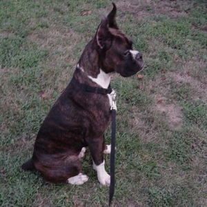 Sittin pretty