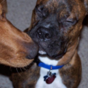 The Kiss
