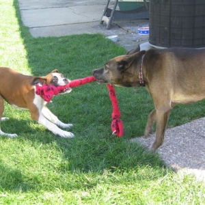 It is mine