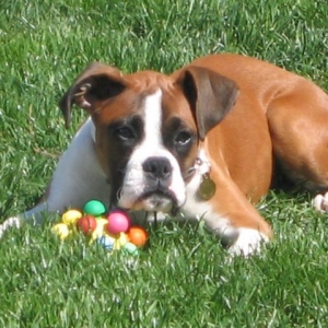 posing at 16 weeks