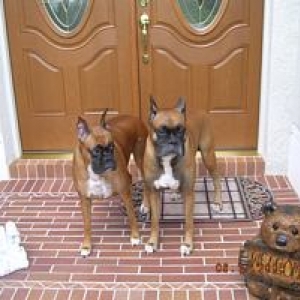 Taz and Tasha