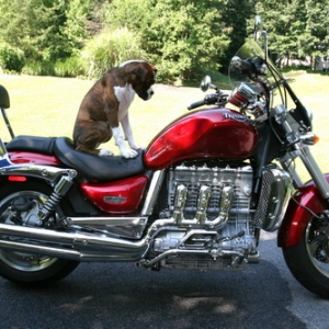 Bax Rider