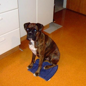 Waiting for dinner