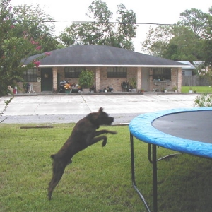 Jump