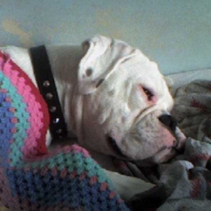 Sleeping under 'blanky'