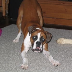 Ready to play