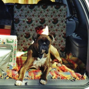 security guard