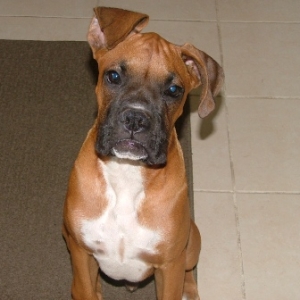 lennox 4 1/2 months