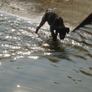 Testing the water