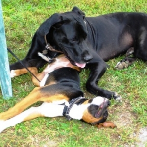 OurBabies03