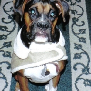 OurBabies09