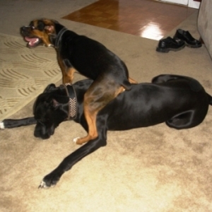 OurBabies11
